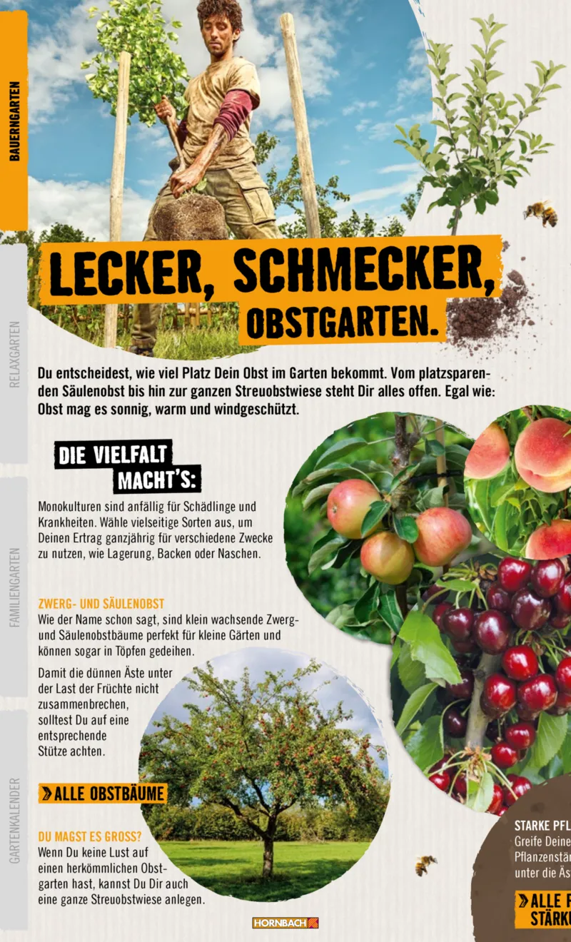 Hornbach Prospekt vom 10.06.2025, Seite 8