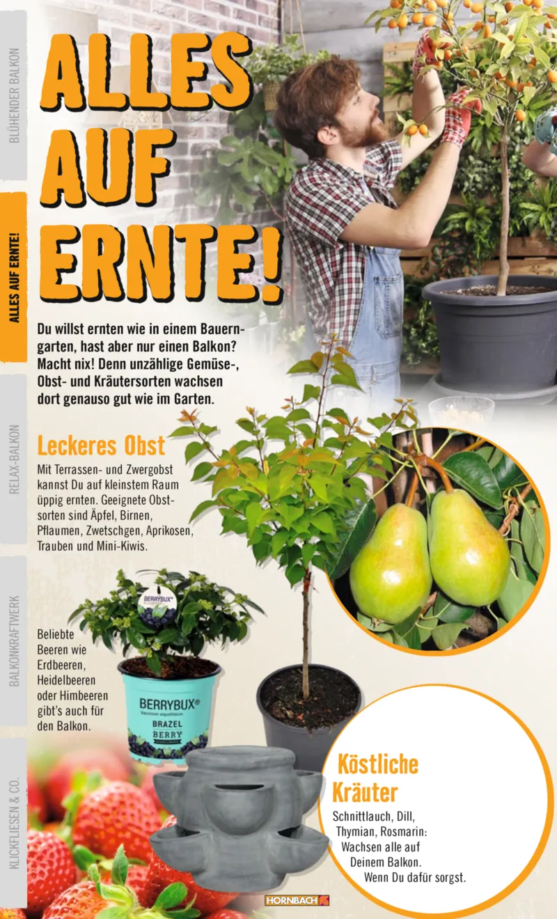 Hornbach Prospekt vom 10.06.2025, Seite 10