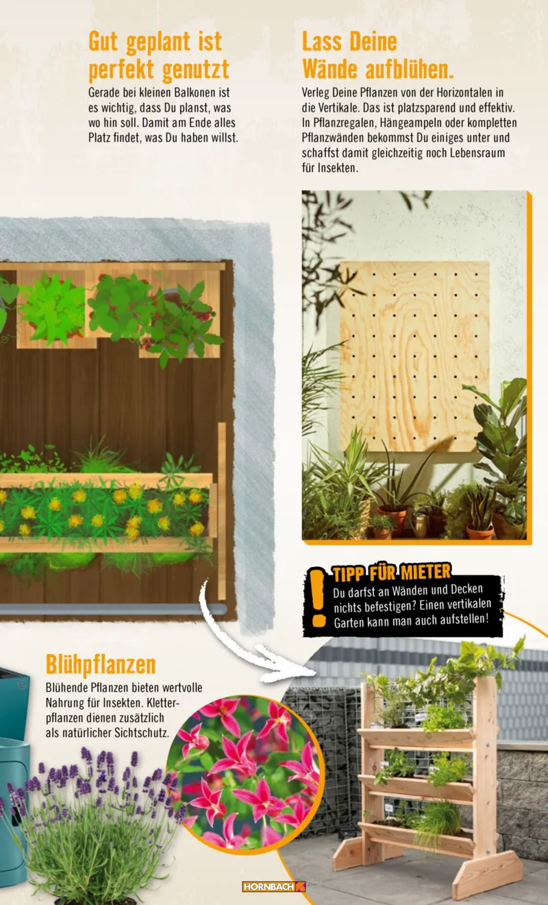 Hornbach Prospekt vom 10.06.2025, Seite 13