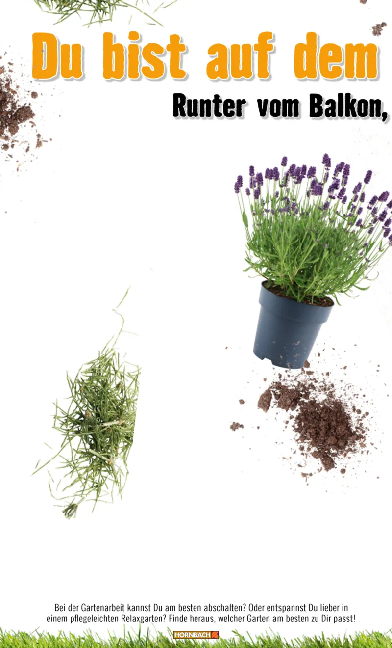 Hornbach Prospekt vom 10.06.2025, Seite 30
