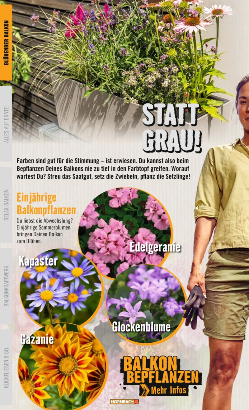 Hornbach Prospekt vom 10.06.2025, Seite 4