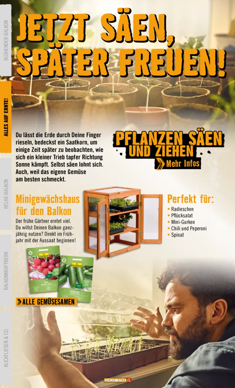 Hornbach Prospekt vom 10.06.2025, Seite 8