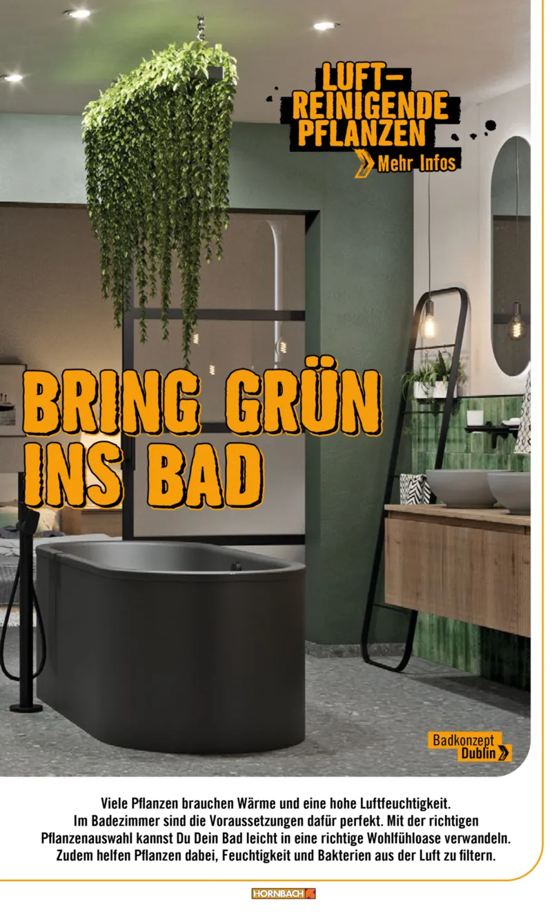 Hornbach Prospekt vom 10.06.2025, Seite 66