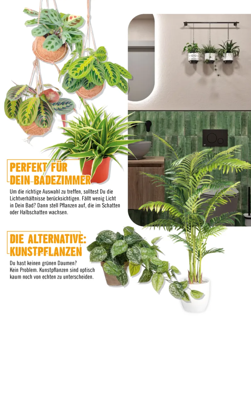 Hornbach Prospekt vom 10.06.2025, Seite 67