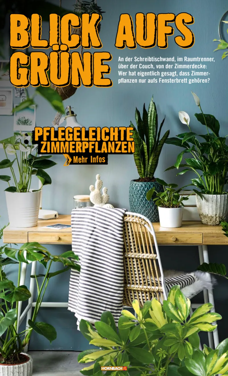 Hornbach Prospekt vom 10.06.2025, Seite 50