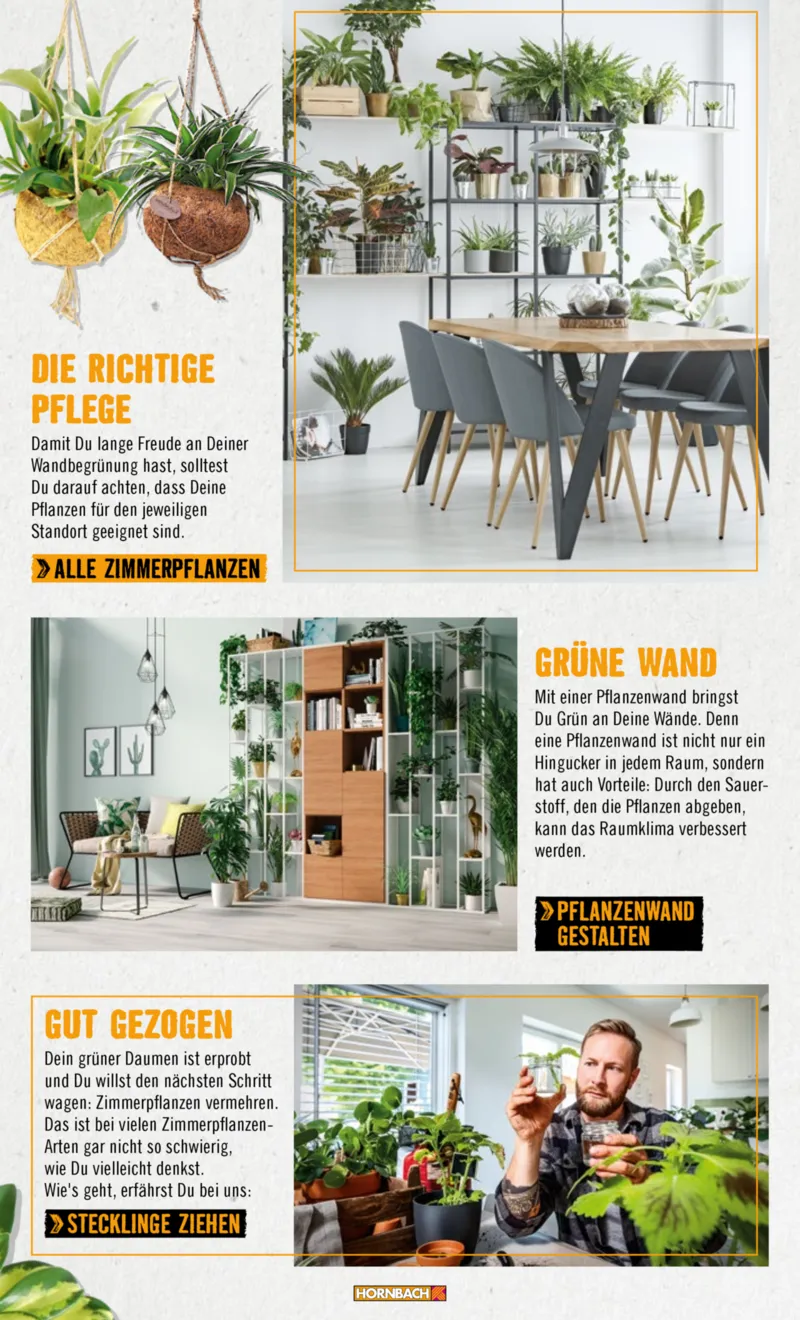 Hornbach Prospekt vom 10.06.2025, Seite 51