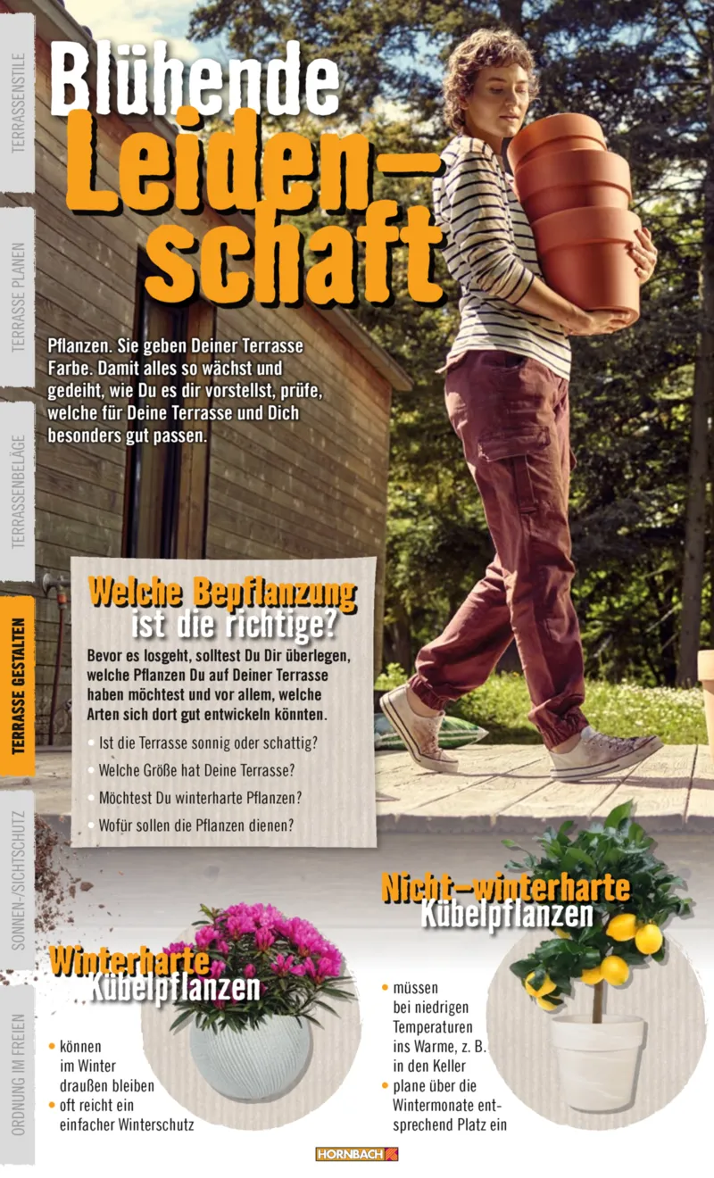Hornbach Prospekt vom 10.06.2025, Seite 36
