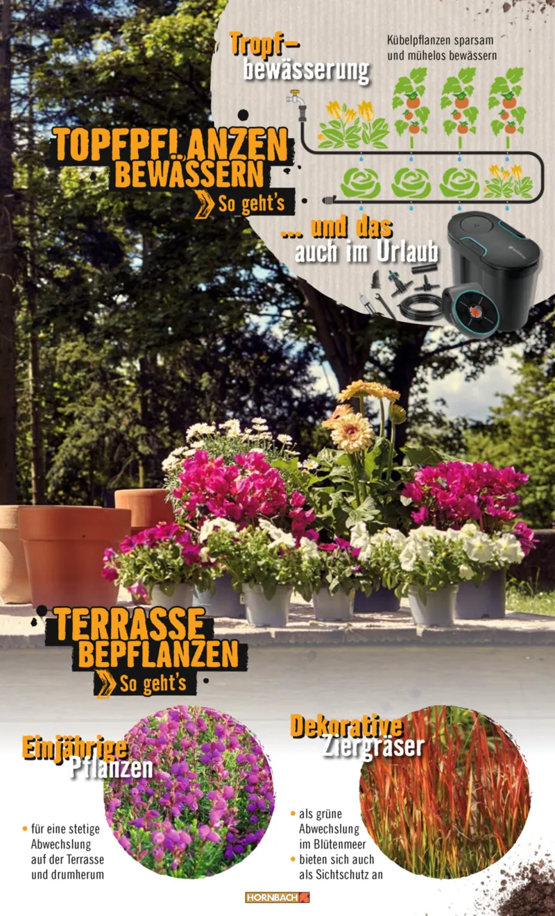 Hornbach Prospekt vom 10.06.2025, Seite 37