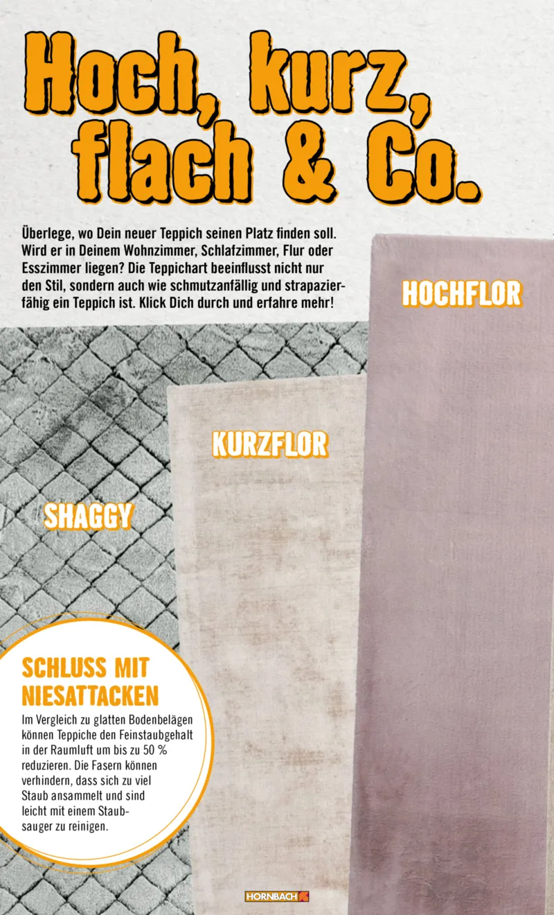 Hornbach Prospekt vom 10.06.2025, Seite 12