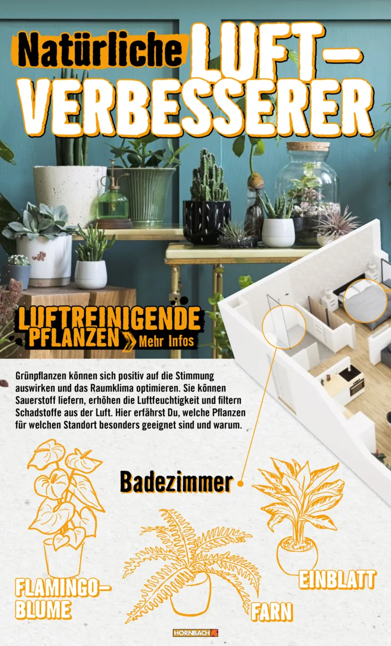 Hornbach Prospekt vom 10.06.2025, Seite 22