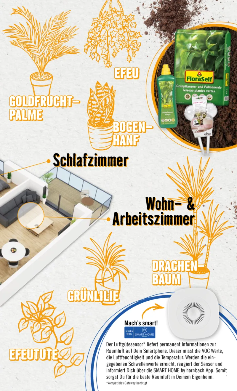 Hornbach Prospekt vom 10.06.2025, Seite 23