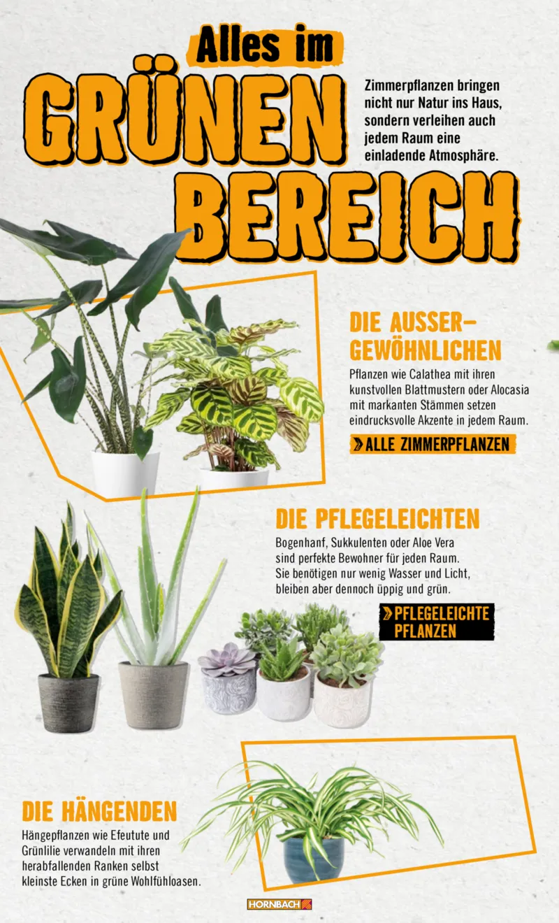 Hornbach Prospekt vom 10.06.2025, Seite 24
