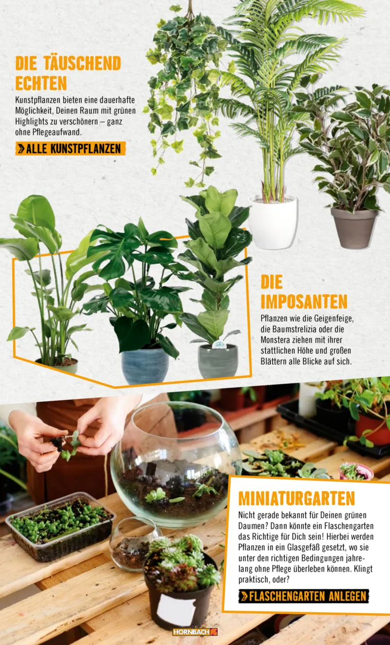 Hornbach Prospekt vom 10.06.2025, Seite 25