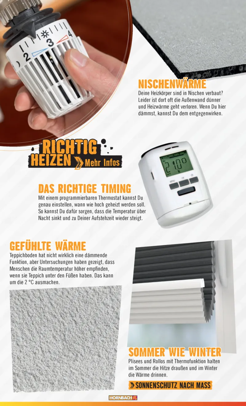 Hornbach Prospekt vom 10.06.2025, Seite 17