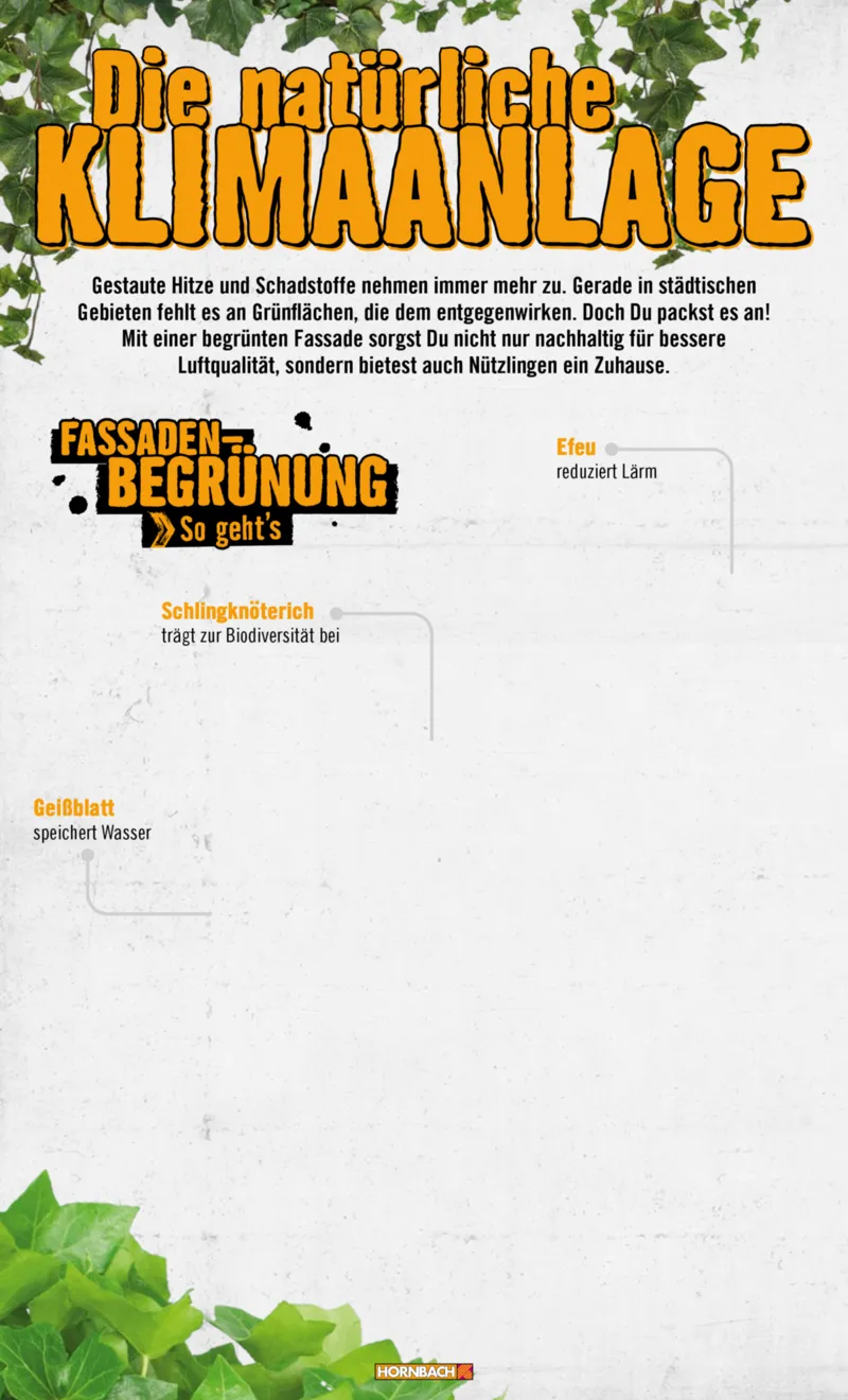 Hornbach Prospekt vom 10.06.2025, Seite 10