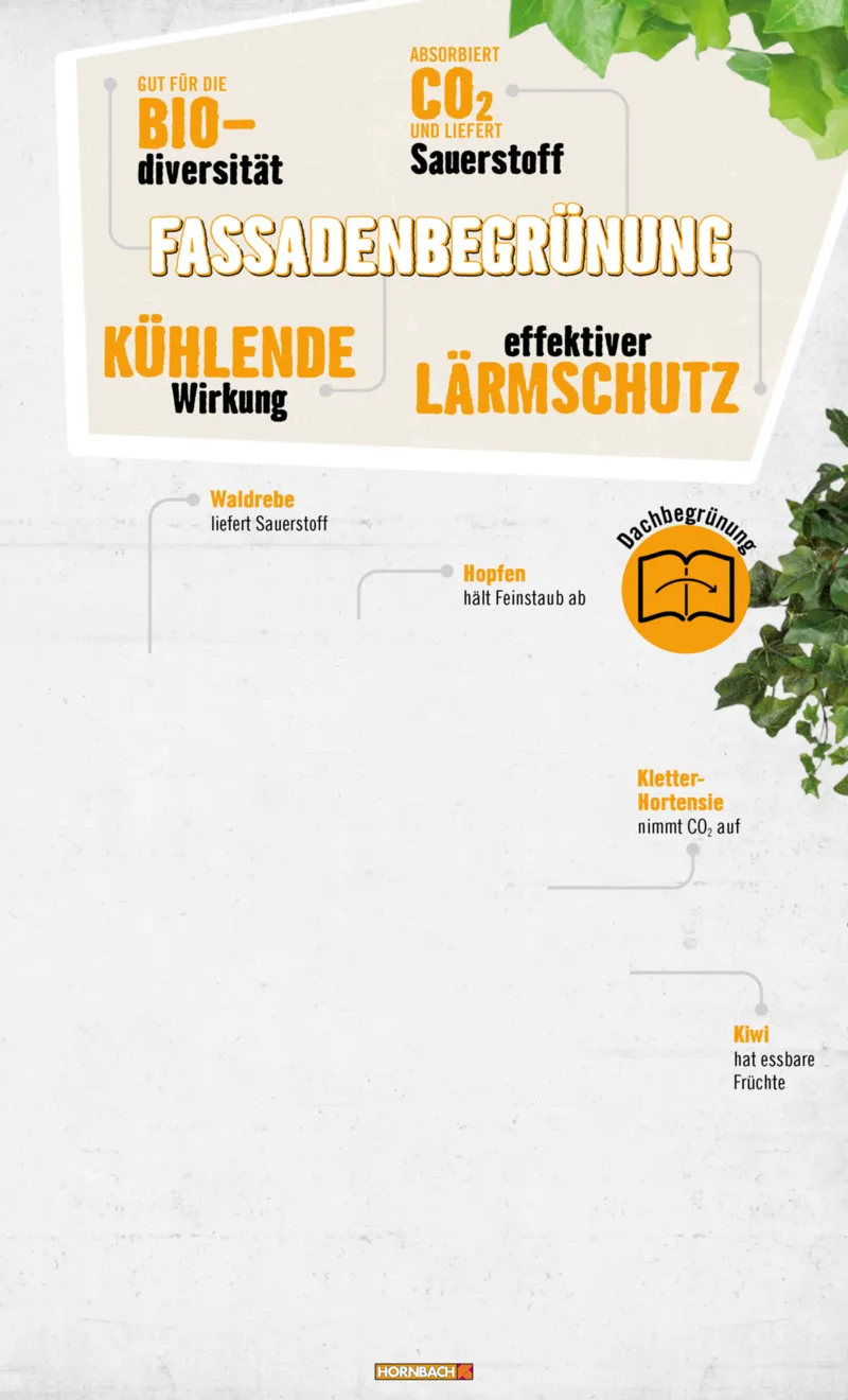 Hornbach Prospekt vom 10.06.2025, Seite 11