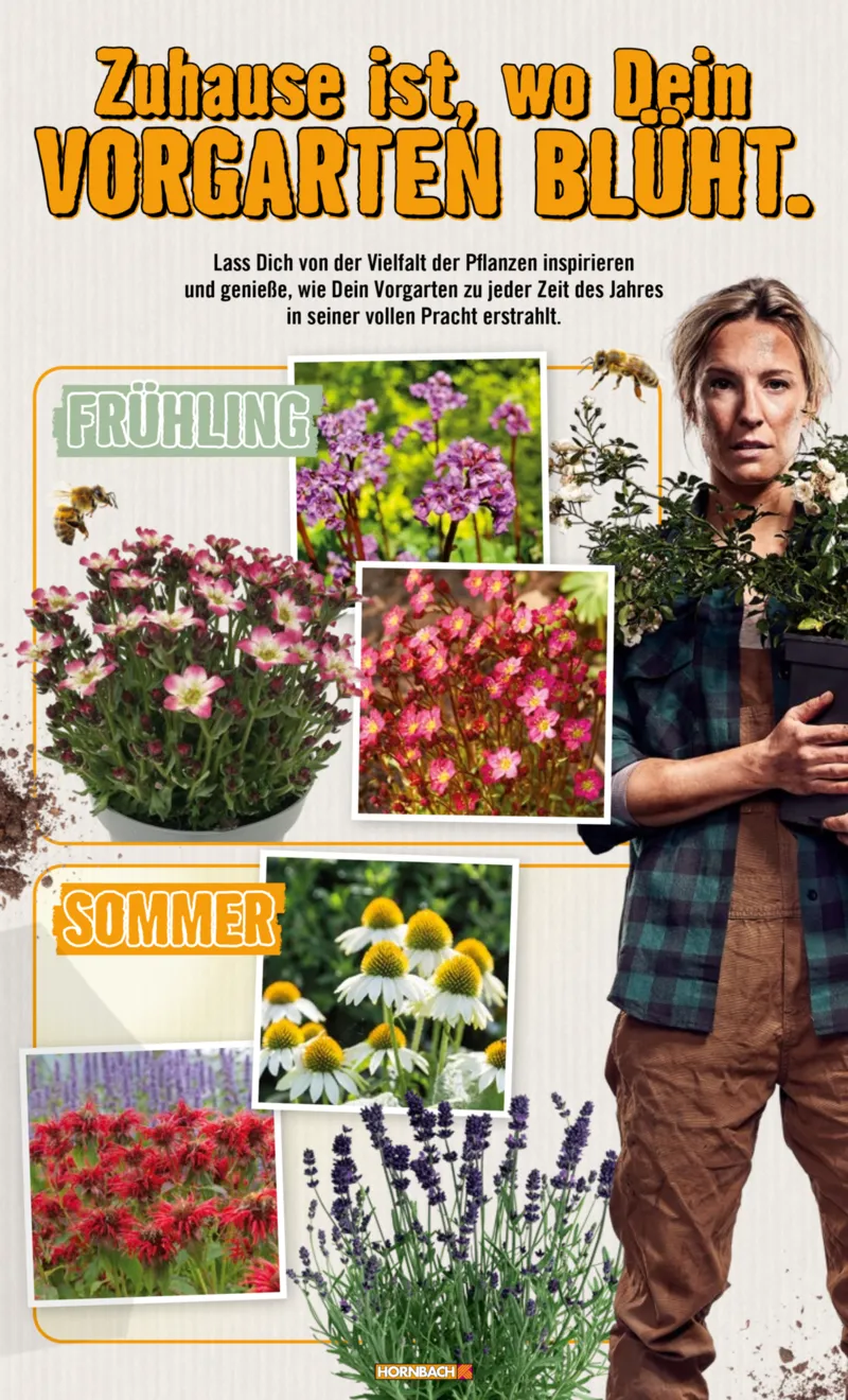 Hornbach Prospekt vom 10.06.2025, Seite 24