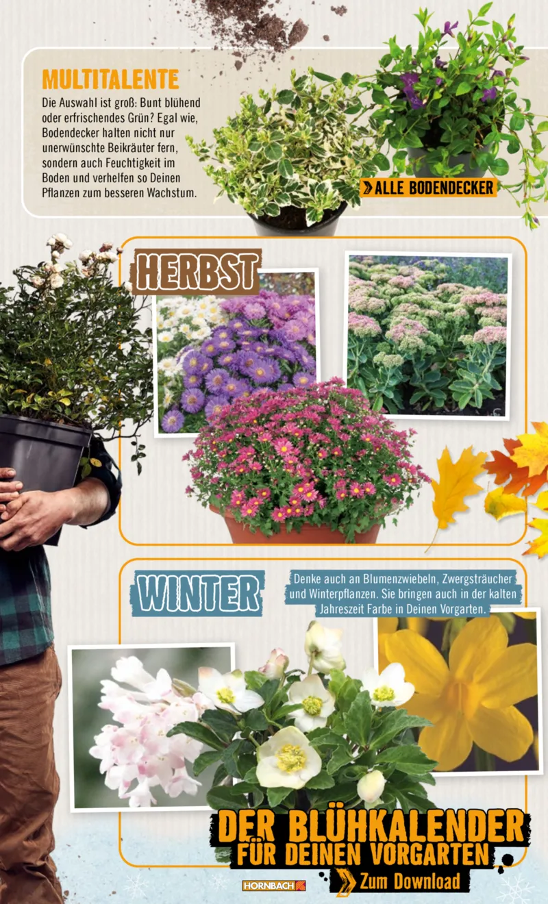 Hornbach Prospekt vom 10.06.2025, Seite 25