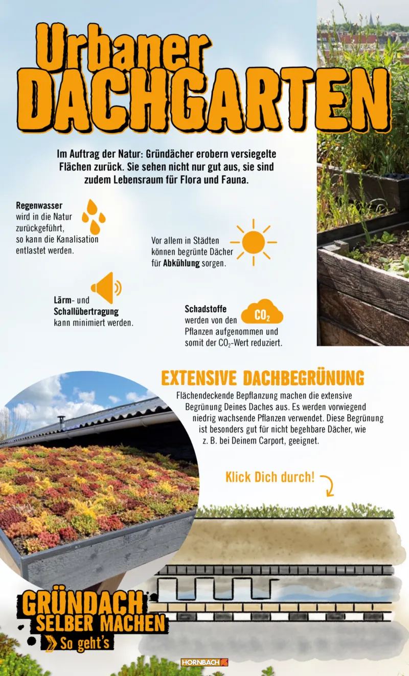 Hornbach Prospekt vom 10.06.2025, Seite 32