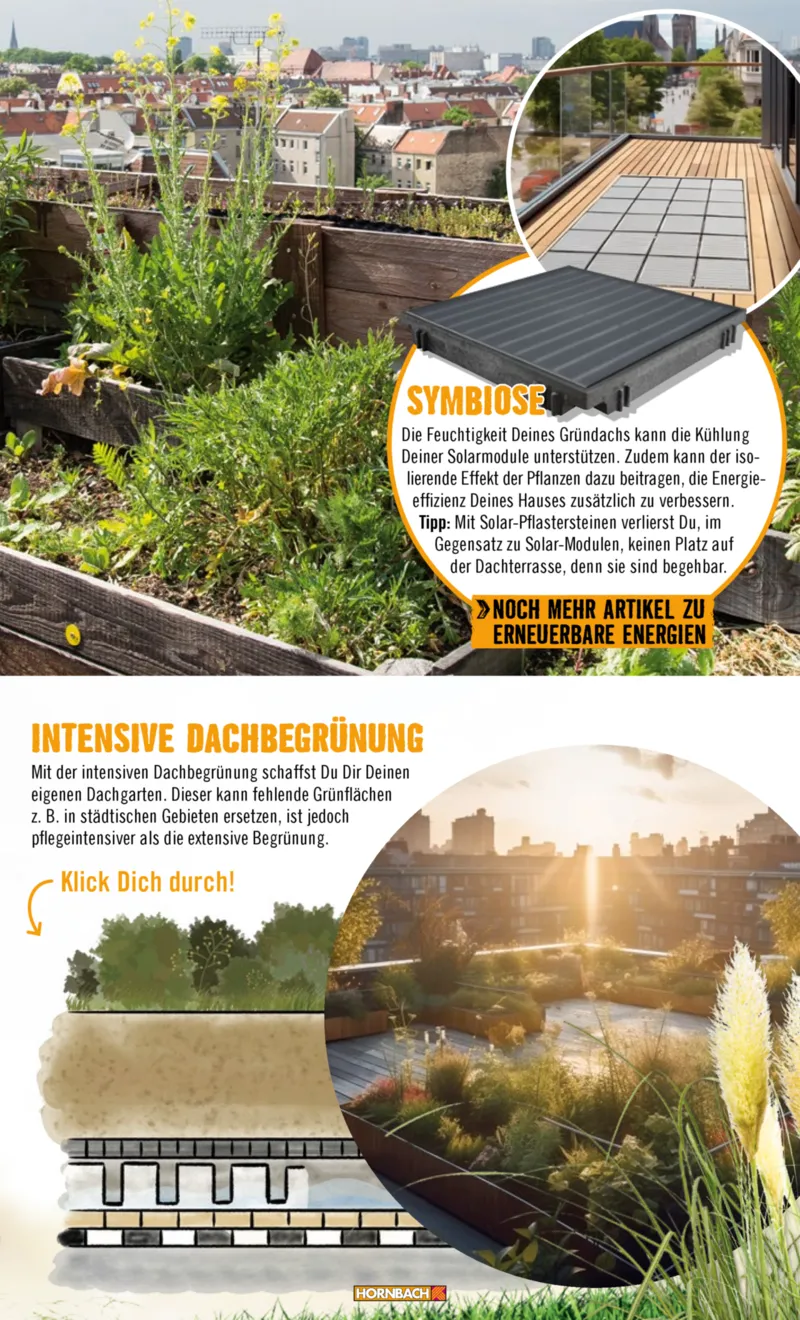 Hornbach Prospekt vom 10.06.2025, Seite 33