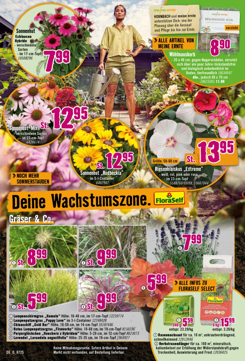 Hornbach Prospekt vom 27.06.2025, Seite 14