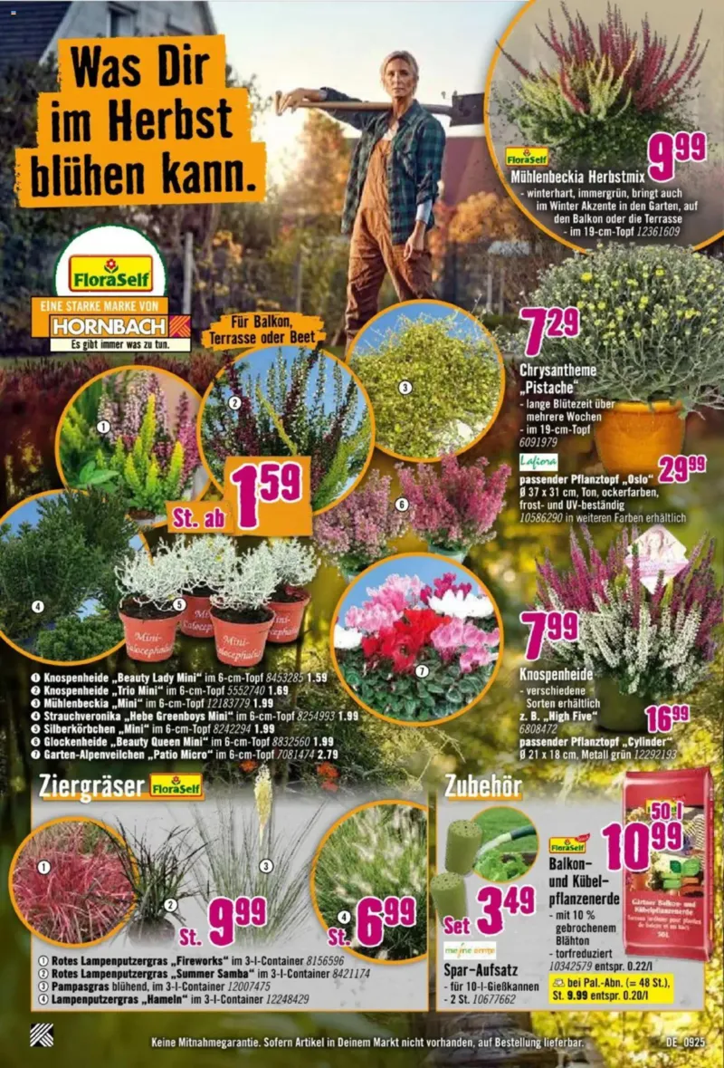 Hornbach Prospekt vom 08.09.2025, Seite 14