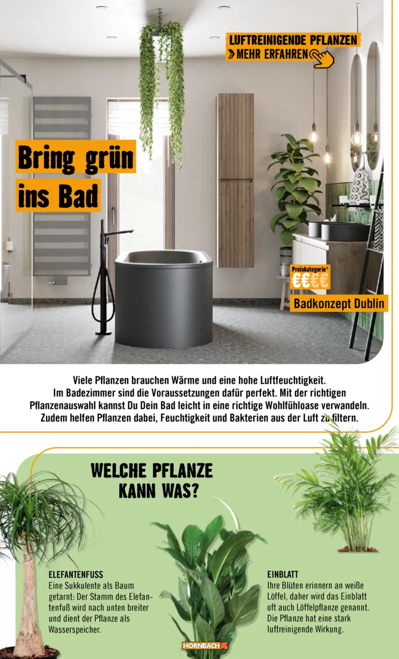 Hornbach Prospekt vom 01.02.2026, Seite 66