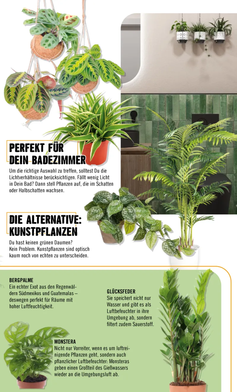 Hornbach Prospekt vom 01.02.2026, Seite 67