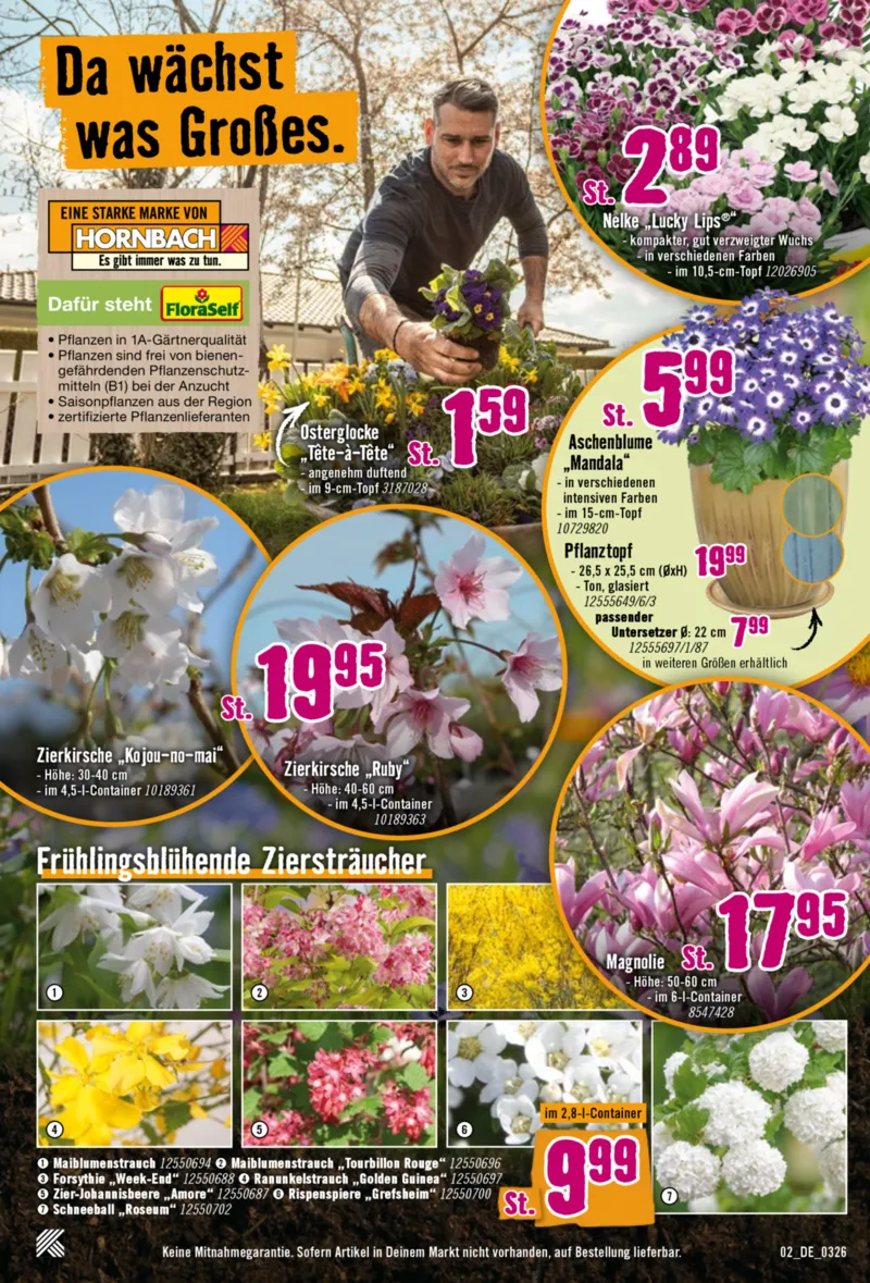 Hornbach Prospekt vom 12.03.2026, Seite 2