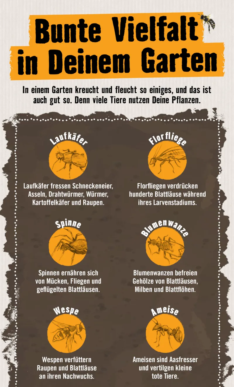 Hornbach Prospekt vom 01.05.2026, Seite 10