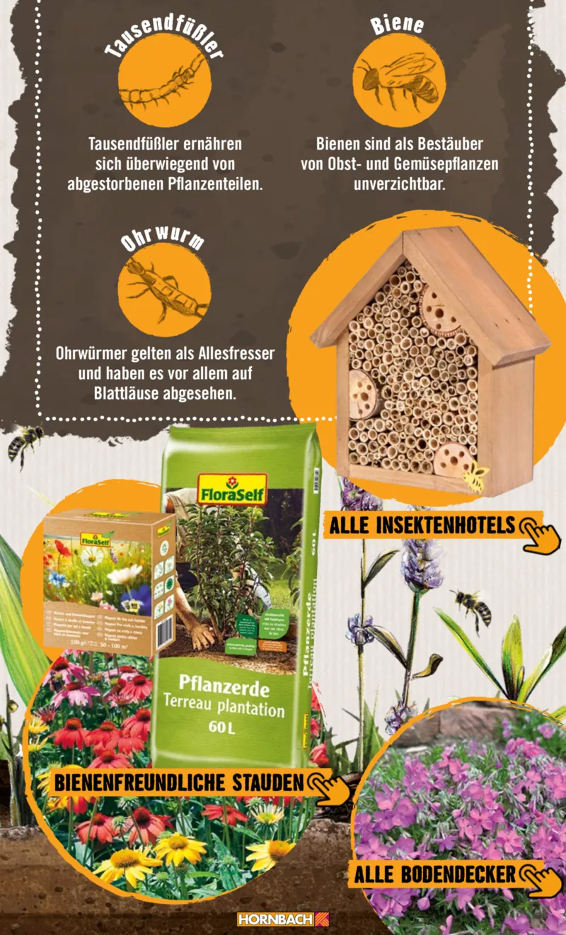 Hornbach Prospekt vom 01.05.2026, Seite 11