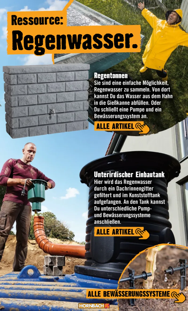 Hornbach Prospekt vom 01.05.2026, Seite 12