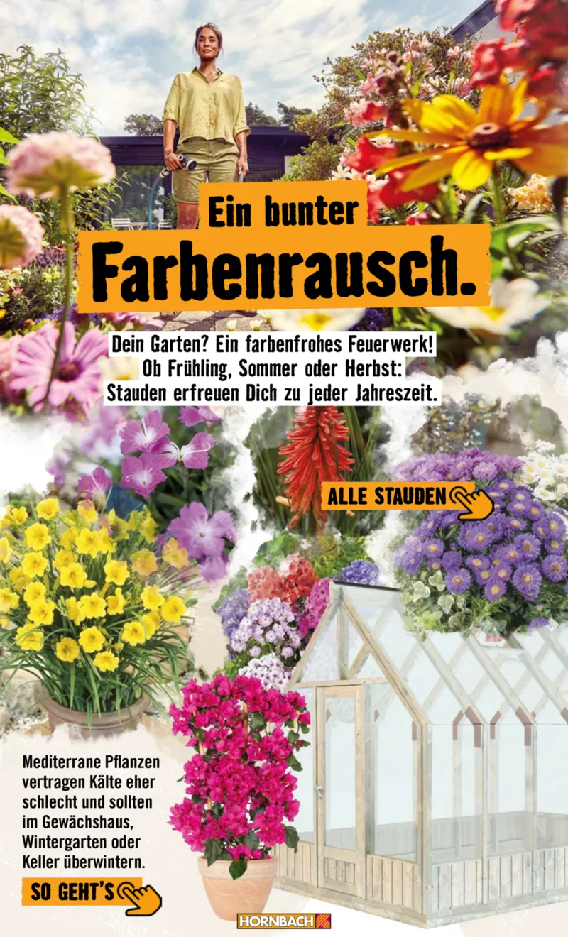 Hornbach Prospekt vom 01.05.2026, Seite 19