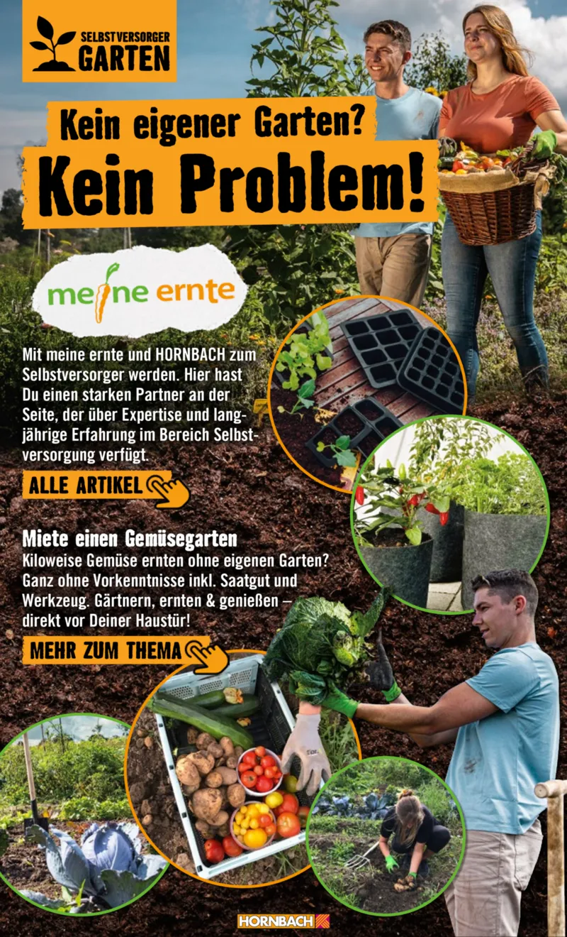 Hornbach Prospekt vom 01.05.2026, Seite 9