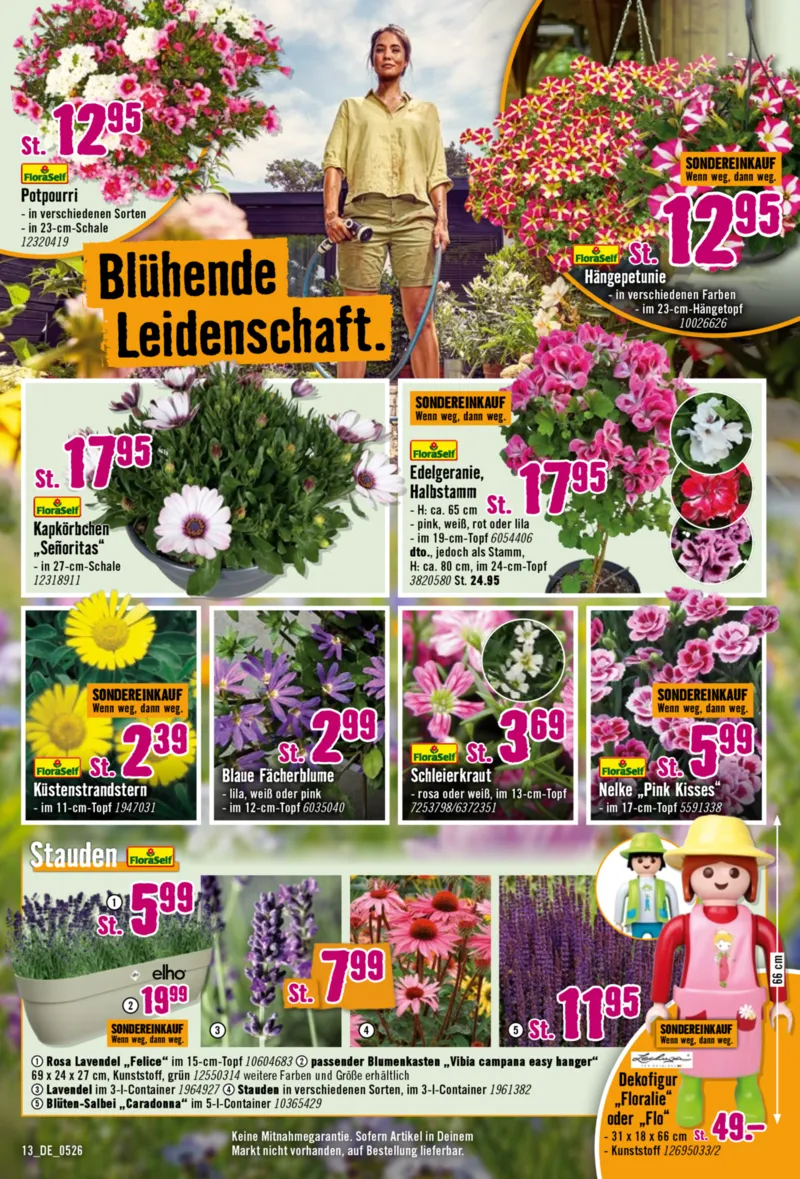 Hornbach Prospekt vom 09.05.2026, Seite 13