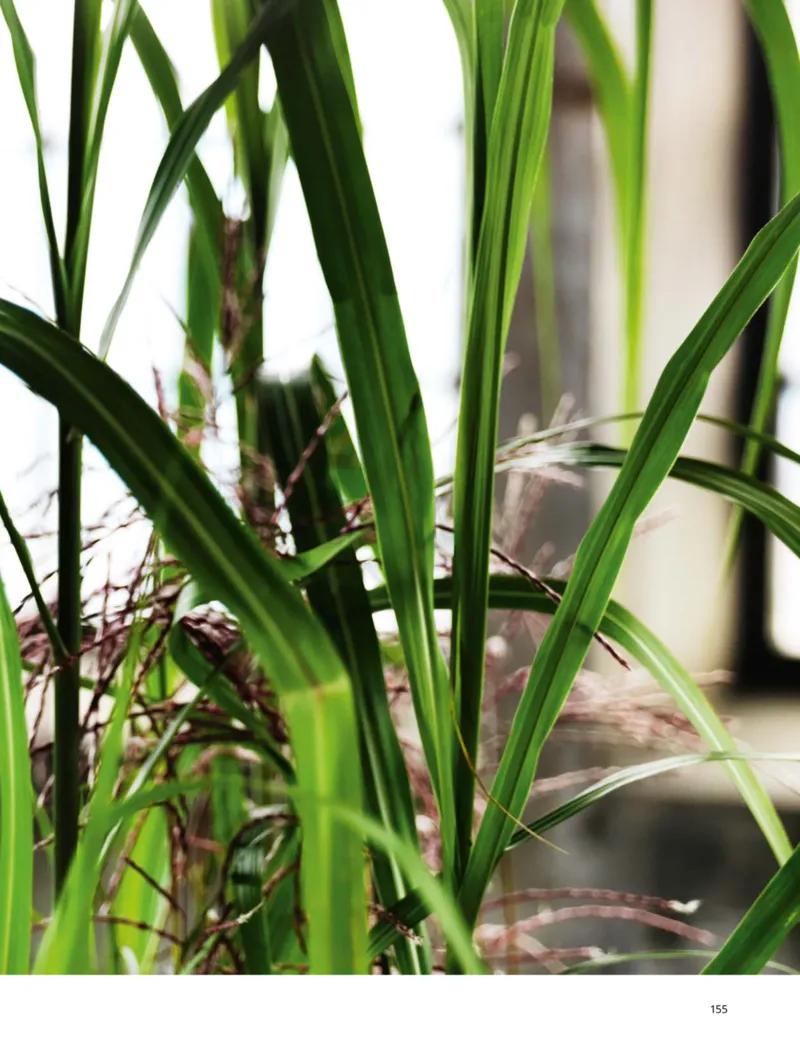 IKEA Prospekt vom 30.09.2025, Seite 155