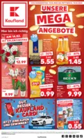 Kaufland Prospekt vom 13.02.2025