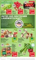 Kaufland Prospekt vom 12.06.2025