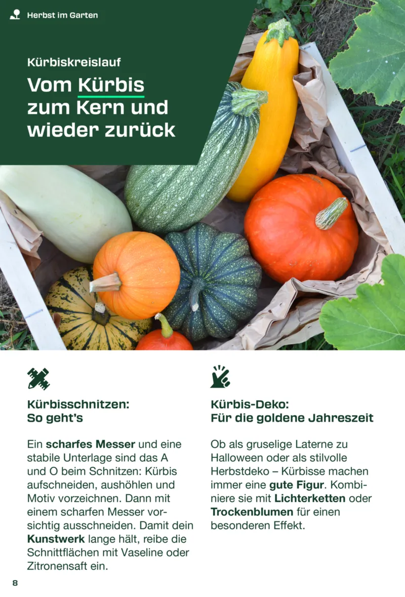 Kaufland Prospekt vom 01.09.2025, Seite 8