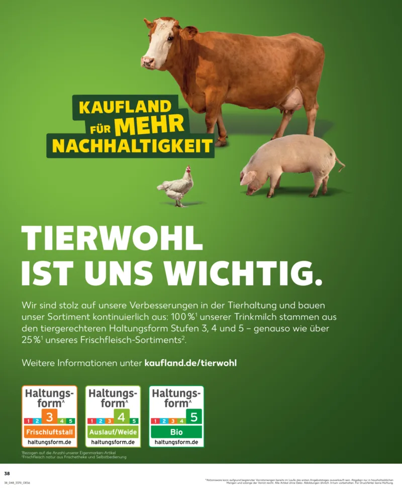 Kaufland Prospekt vom 01.12.2025, Seite 38