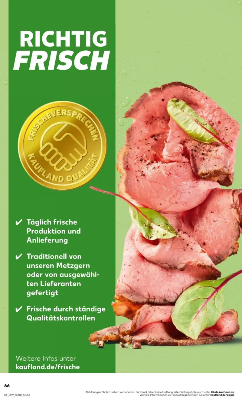 Kaufland Prospekt vom 07.12.2025, Seite 66