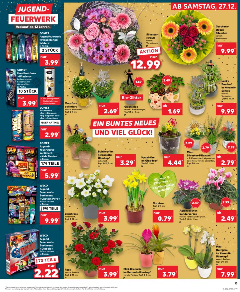 Kaufland Prospekt vom 27.12.2025, Seite 13