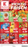 Kaufland Prospekt vom 02.01.2026