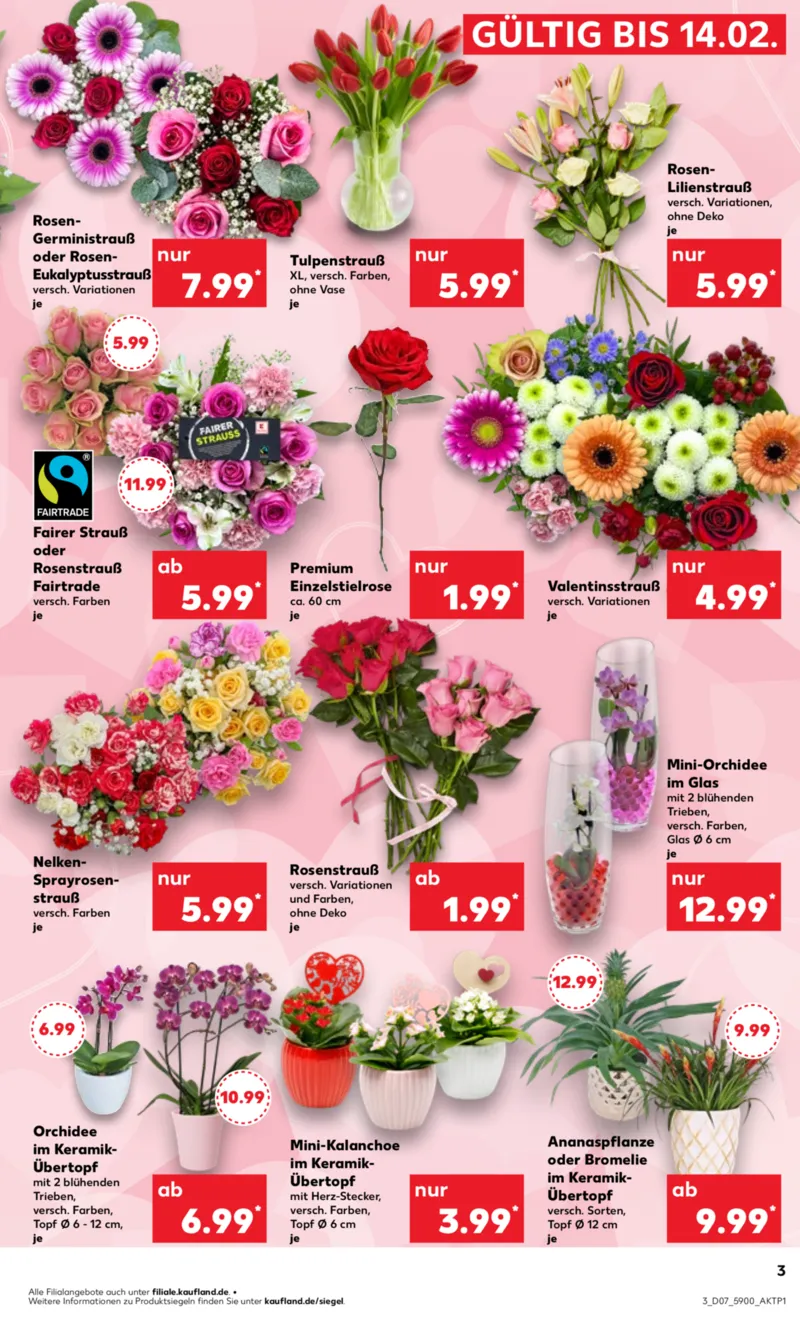 Kaufland Prospekt vom 12.02.2026, Seite 3