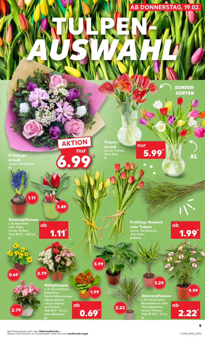 Kaufland Prospekt vom 23.02.2026, Seite 9