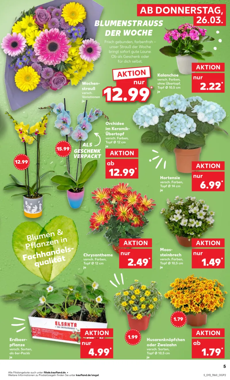 Kaufland Prospekt vom 26.03.2026, Seite 5