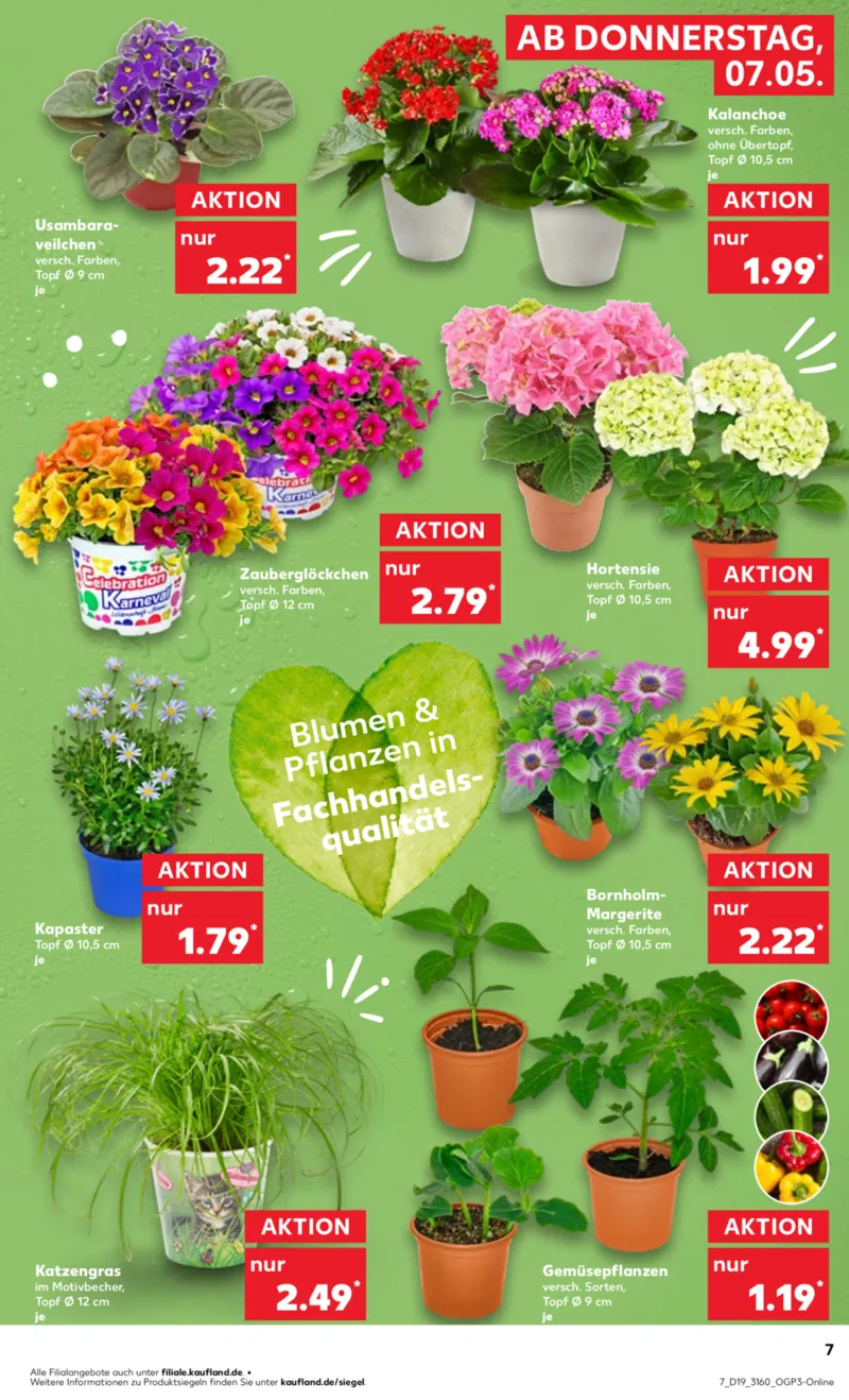 Kaufland Prospekt vom 07.05.2026, Seite 7