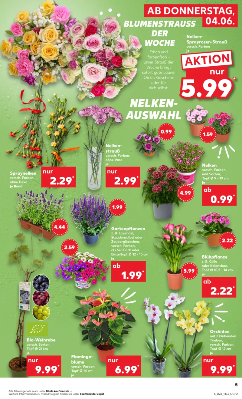 Kaufland Prospekt vom 04.06.2026, Seite 5
