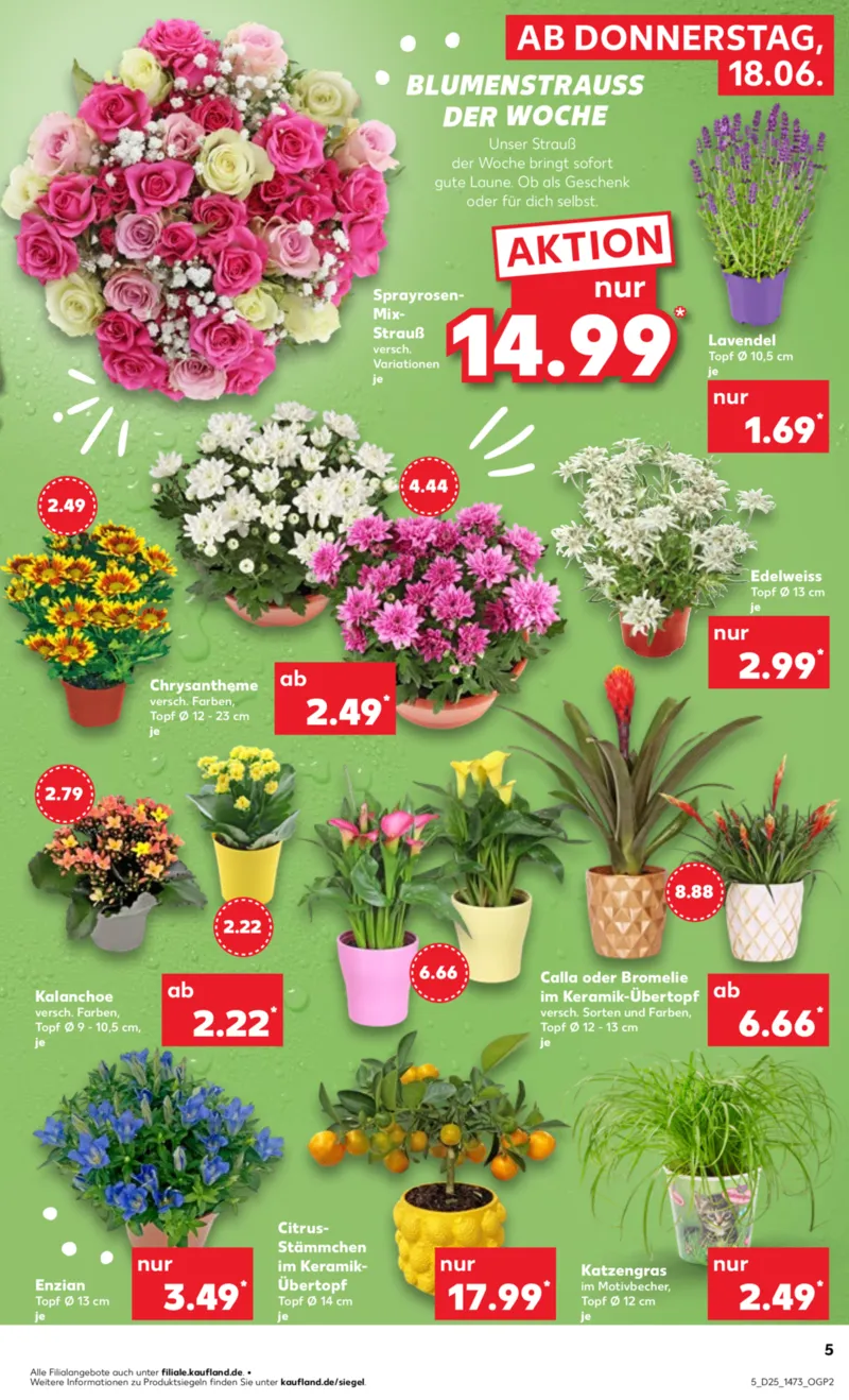 Kaufland Prospekt vom 18.06.2026, Seite 5