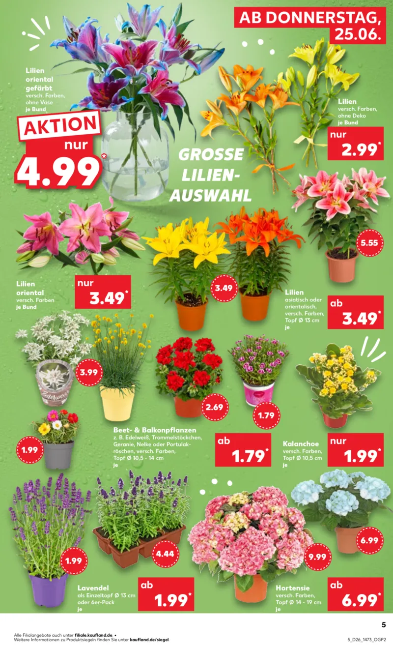 Kaufland Prospekt vom 25.06.2026, Seite 5